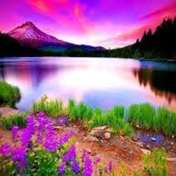 Meet your Posher, Lauren - Picture 1 of 1